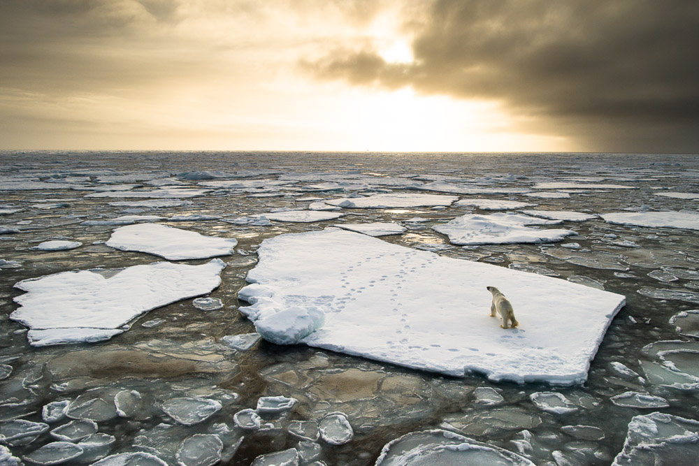 Svalbard Autumn Magic