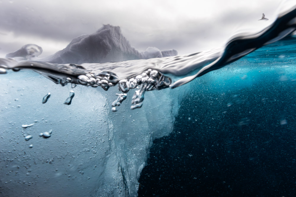 Svalbard Below Surface